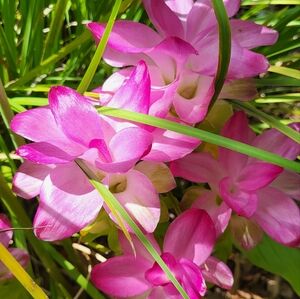 Mercury Glass Sconce Incandescent Light